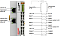 Beckhoff. EtherCAT-копплер для модуля E-Bus (ELxxxx) со встроенным I/O: - EK1818 Beckhoff